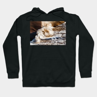 Wave Curling Over at Pearl Beach Hoodie